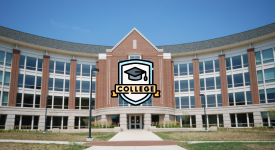 Colleges