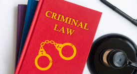 Criminal Law Services