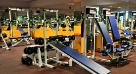 Fitness Clubs and Gyms