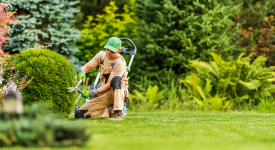 Landscaping & Gardening Services