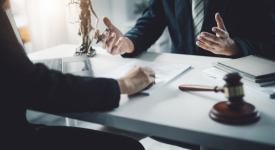 Legal Consultation Platforms
