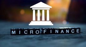 Microfinance Institutions